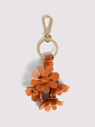 Coccinelle-Blumen
