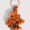 Coccinelle-Blumen