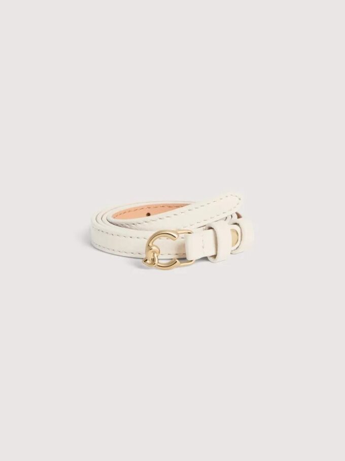 Coccinelle C-Me