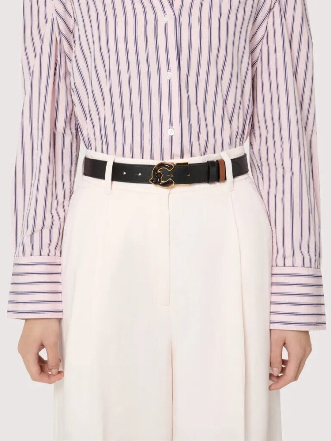 Coccinelle C-Me